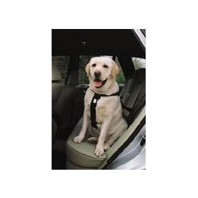 Car Harness for Dogs from Ancol (Size: Extra Large)