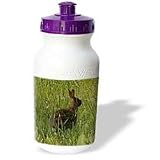 Rebecca Anne Grant Photography Designs Nature Animals - RabbitOil Painting - Water Bottles