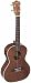 Lanikai LU-21TE Acoustic/Electric Tenor Ukulele