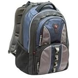 SwissGear 15.6-Inch Cobalt Notebook Backpack