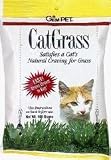 Gimborn U.s.-redi Rich Health Cat Grass 100 Gram - 76200