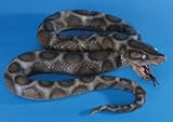 Giant 6 Ft. Rubber Python Snake Prop