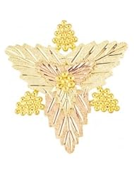 Black Hills Gold - Pins - Star Pin