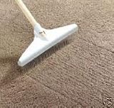 Carpet Rake