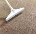 Carpet Rake