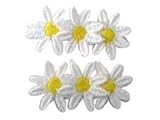 Daisy Pair