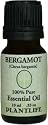 Bergamot 100% Pure Essential Oil - 10 ml