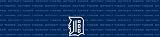 Detroit Tigers Team Auto Visor Decal