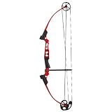 Genesis Mini Bow