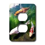 Fishing - Chinese Koi Carp Fish - Light Switch Covers - 2 plug outlet cover