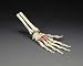 Painted Hand On Elastic Cord