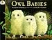 Owl Babies