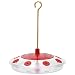 Droll Yankees H82 8 Port New Design Hummingbird Feeder Nectar Guard