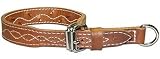 1-1/4 Leather Force Collar