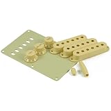 Fender Aged White Stratocaster Accessory Kit