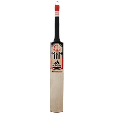 adidas Master Blaster Rookie Kashmir Willow Cricket Bat, Short handle (Poppy/Black/Silver)