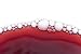 Red Wine Bubbles Closeup - 24