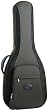 Reunion Blues RB Continental RBG1S Semi-Hollow Electric Guitar Cases