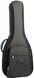 Reunion Blues RB Continental RBG1S Semi-Hollow Electric Guitar Cases