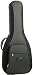 Reunion Blues RB Continental RBG1S Semi-Hollow Electric Guitar Cases
