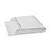 Survivor Tyvek Expansion Mailer, 10 x 15 x 2, White, 18lb, 100/Carton