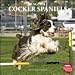 English Cocker Spaniels 2010 Wall Calendar