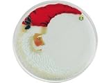 Peggy Karr 14-Inch Glass St. Nick Platter