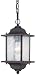 Hardware House 545020 13-Inch by 6-1/4-Inch Patina Outdoor Lighting Fixture Rust