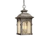 IMAGE OF Vaxcel Essex Outdoor Pendant