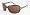 Tortoise with Brown Lens with Brown lenses