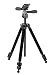 Velbon カーボン三脚 Geo Carmagne E435  エルロックカーボン小型三脚 デジカメ三脚でAmazonアフィリエイトツール