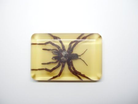 Lucite Treasures Tarantula Paperweight (Yellow)