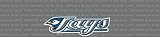 Toronto Blue Jays Team Auto Visor Decal