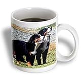 Dogs Bernese Mountain Dog - Bernese Mountain Dog - Mugs