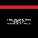 Music : Temple of Transparent Balls