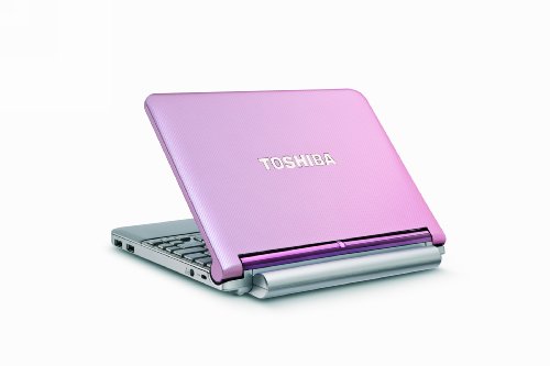 Where to buy Toshiba Mini NB205-N313/P 10.1-Inch Posh Pink Netbook - 9 Hour Battery Life