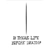 Maurizio Cattelan: Is There Life Before Death? (Menil Collection)