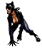 Toys : Catwoman Vinyl Statue by Kotobukiya
