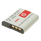 SONY NP-BG1, NPBG1, NP-FG1, NPFG1 replacement Camera battery, High Capacity ....