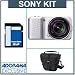 Sony Alpha NEX-3 14.2 Megapixels Compact Interchangeable Lens Digital Camera Kit - Silver - with 18-55mm F3.5-5.6 OSS E-mount Lens, 4GB SD Memory Card, Camera Case,