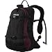Sporting Goods : CamelBak Ice Queen Hydration Pack - Women's