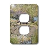 Angelique Cajams Safari Hippos - South African Hippopotami laying on the rocks - Light Switch Covers - 2 plug outlet cover
