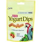 Kaytee Yogurt Dips Mango Flavor Treats for Parrots by Kaytee
