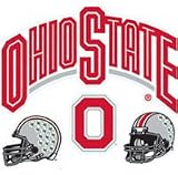 OSU Ohio State Buckeyes - 22 College Wall Decor Stickers / Decals