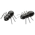 Thrill of the Grill Salt and Pepper Shaker Set