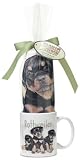 Rottweiler Puppies Cup/Mug Kitchen Towel Gift Set