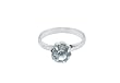 Wilton Engagement Rings