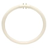 10 Pack 22 Watt Fluorescent Lightbulb