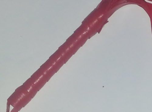 Red Tickle Me Whip with Tassels Offered By the Candie Store (Beware of Imitators!)