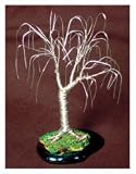 Bonsai Boys Wire Bonsai Mini Tree Sculpture 4x4x4 31zXvRnsaPL. SL160 Bonsai Boys Wire Bonsai Mini Tree Sculpture 4x4x4